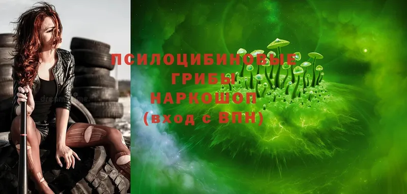 blacksprut ТОР  Черноголовка  Псилоцибиновые грибы Psilocybe 